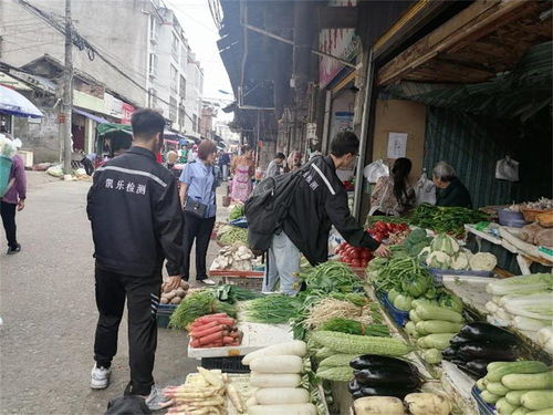守護(hù)舌尖安全，越西縣全面展開2021年度食品與食用農(nóng)產(chǎn)品質(zhì)量抽檢工作